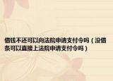 借钱不还可以向法院申请支付令吗（没借条可以直接上法院申请支付令吗）