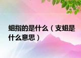 蛆指的是什么（支蛆是什么意思）