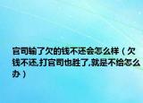 官司输了欠的钱不还会怎么样（欠钱不还,打官司也胜了,就是不给怎么办）