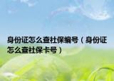 身份证怎么查社保编号（身份证怎么查社保卡号）