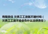 有限责任 欠员工工资就不赔付吗（欠员工工资不给会负什么法律责任）