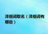 泽组词取名（泽组词有哪些）