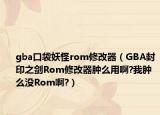 gba口袋妖怪rom修改器（GBA封印之剑Rom修改器肿么用啊?我肿么没Rom啊?）