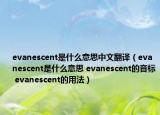 evanescent是什么意思中文翻译（evanescent是什么意思 evanescent的音标 evanescent的用法）