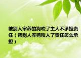 被别人家养的狗咬了主人不承担责任（帮别人养狗咬人了责任怎么承担）