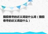 囫囵吞枣的近义词是什么词（囫囵吞枣的近义词是什么）