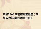 苹果12nfc功能在哪里开启（苹果12nfc功能在哪里开启）