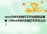 word2003文档打不开出现错误报告（Word2003文档打不开怎么办）