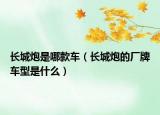 长城炮是哪款车（长城炮的厂牌车型是什么）