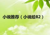 小说推荐（小说绘82）
