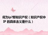 何为ip?即知识产权（知识产权中 IP 的具体含义是什么）