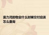 富力湾的物业什么时候交付应该怎么查询