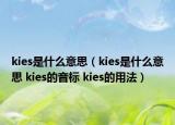 kies是什么意思（kies是什么意思 kies的音标 kies的用法）