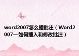 word2007怎么插批注（Word2007—如何插入和修改批注）