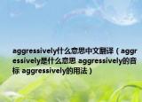 aggressively什么意思中文翻译（aggressively是什么意思 aggressively的音标 aggressively的用法）