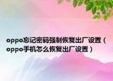 oppo忘记密码强制恢复出厂设置（oppo手机怎么恢复出厂设置）
