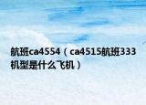 航班ca4554（ca4515航班333机型是什么飞机）