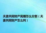 夫妻共同财产离婚怎么分割（夫妻共同财产怎么判）