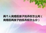 两个人离婚后孩子抚养权怎么判（离婚后两孩子的抚养权怎么分）