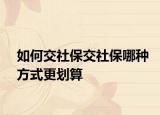 如何交社保交社保哪种方式更划算