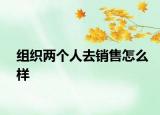 组织两个人去销售怎么样