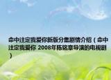 命中注定我爱你新版分集剧情介绍（命中注定我爱你 2008年陈铭章导演的电视剧）