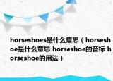 horseshoes是什么意思（horseshoe是什么意思 horseshoe的音标 horseshoe的用法）