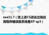 sxe11.7（挂上进CS进去出现应用程序错误我系统是XP sp3）