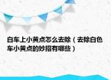 白车上小黄点怎么去除（去除白色车小黄点的妙招有哪些）
