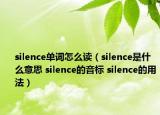 silence单词怎么读（silence是什么意思 silence的音标 silence的用法）