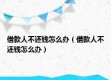 借款人不还钱怎么办（借款人不还钱怎么办）