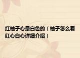 红柚子心是白色的（柚子怎么看红心白心详细介绍）