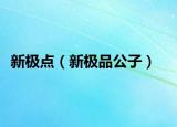 新极点（新极品公子）