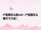 户型图怎么画cad（户型图怎么看尺寸介绍）