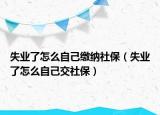 失业了怎么自己缴纳社保（失业了怎么自己交社保）