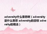 adversity什么意思啊（adversity是什么意思 adversity的音标 adversity的用法）