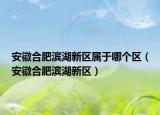 安徽合肥滨湖新区属于哪个区（安徽合肥滨湖新区）