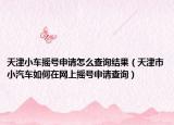 天津小车摇号申请怎么查询结果（天津市小汽车如何在网上摇号申请查询）