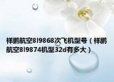 祥鹏航空8l9868次飞机型号（祥鹏航空8l9874机型32d有多大）