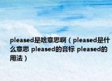 pleased是啥意思啊（pleased是什么意思 pleased的音标 pleased的用法）