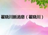 翟晓川新消息（翟晓川）