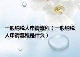 一般纳税人申请流程（一般纳税人申请流程是什么）