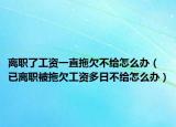 离职了工资一直拖欠不给怎么办（已离职被拖欠工资多日不给怎么办）