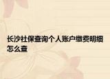 长沙社保查询个人账户缴费明细怎么查