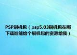 PSP刷机包（psp5.03刷机包在哪下载谁能给个刷机包的资源给我）