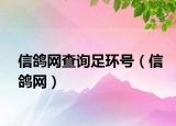 信鸽网查询足环号（信鸽网）