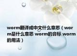 worm翻译成中文什么意思（worm是什么意思 worm的音标 worm的用法）