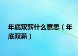 年底双薪什么意思（年底双薪）