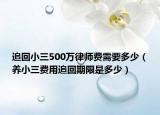 追回小三500万律师费需要多少（养小三费用追回期限是多少）