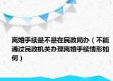 离婚手续是不是在民政局办（不能通过民政机关办理离婚手续情形如何）